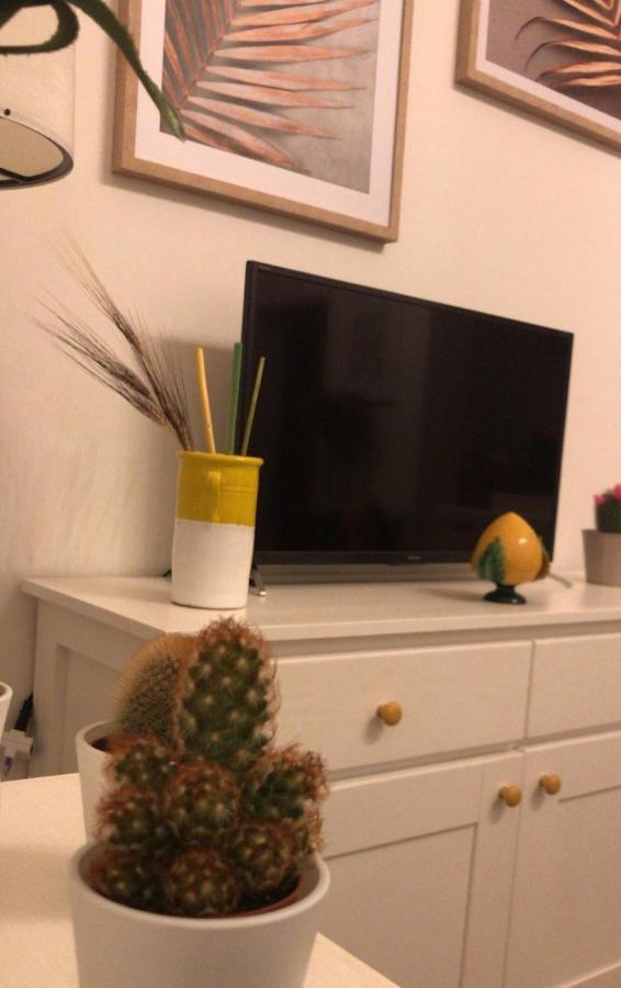 Edyta'S Apartment 奥斯图尼 外观 照片